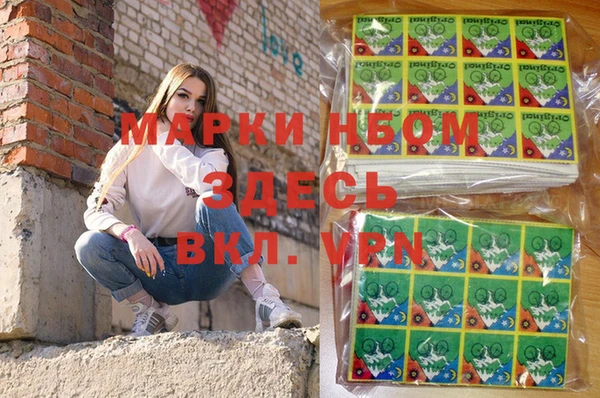 крисы Кулебаки