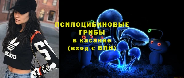 дживик Костерёво