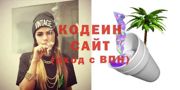 крисы Кулебаки