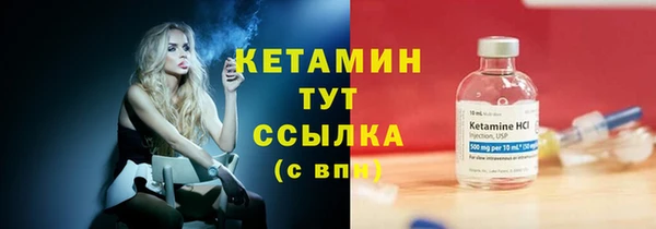 крисы Кулебаки