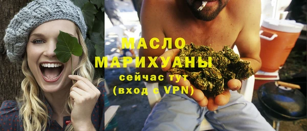 крисы Кулебаки