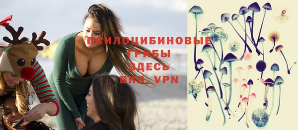 хмурый Краснослободск